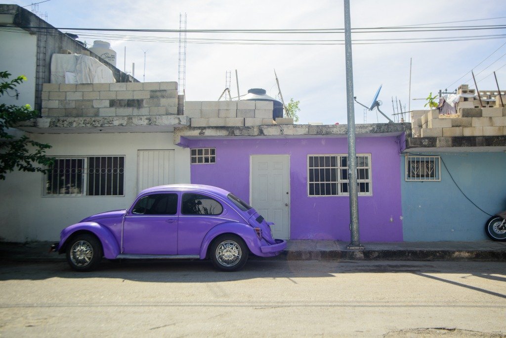 Beetle theme